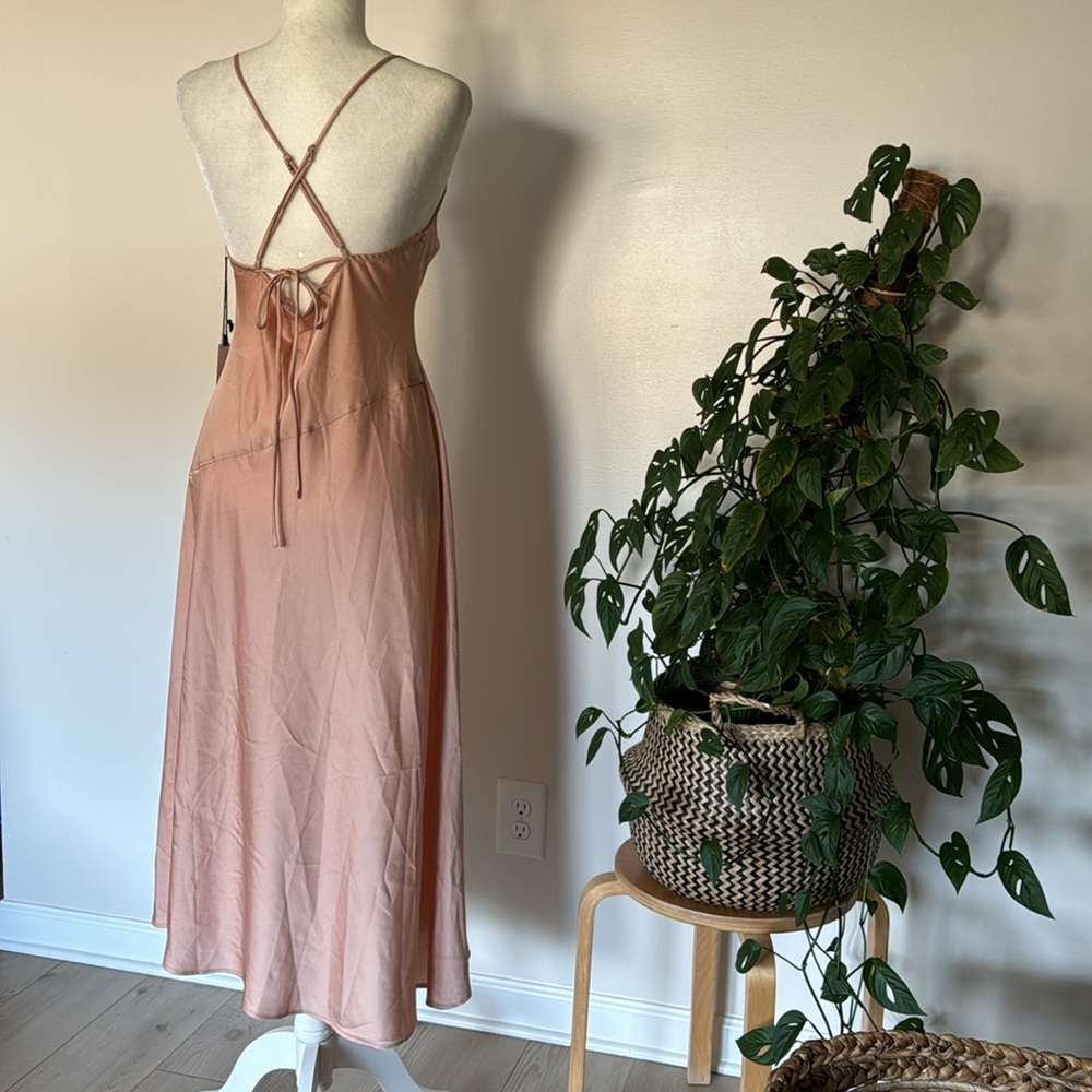 Astr The Label Cowl Slip Midi Dress in Blush - Picture 8 of 11